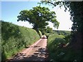 Lane to Ford Farm