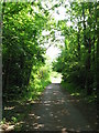 Footpath to Heath Hospital