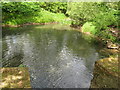 River Arun near Brewhurst Mill