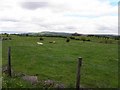 Commons Townland