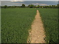 Footpath towards Elm Tree Farm