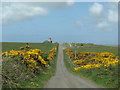 Approaching Bowmore