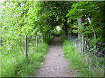 SD7920 : Path to Irwell Vale, Rossendale, Lancashire by Robert Wade