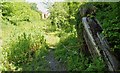 Buffer Stops at Great Ryburgh