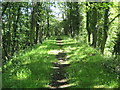 Hemel Hempstead: Former Duckhall railway embankment