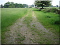 Footpath towards Netherthong