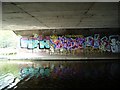 Graffiti under motorway