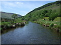 Afon Machno from the stepping stones