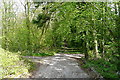 Coastal Path through Fishbourne