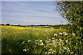 View Towards Potters Bar