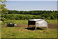 Cattle Feeding Station