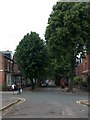 Cemetery Avenue, Sheffield - leading on to Ecclesall Road