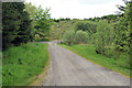 Road into Glen Devon Forest