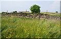 The top of Bowstone Hill