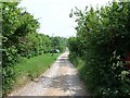 Entrance road to Hall Farm, Layer Marney