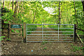 Footpath to a viewpoint near Ardargie Mains