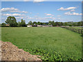 Paddocks near Highthorn 