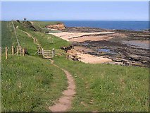 NU2616 : St Oswald's Way above Howick Haven by Oliver Dixon