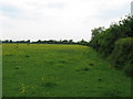 SP8413 : Footpath across fields, near Aylesbury by Gareth James