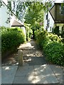 Looking from Lynwood Avenue into the path to Mayfield Avenue