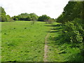 Mirrlees Fields, Woods Moor