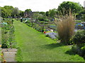 Flowery Fields Allotments, Woods Moor