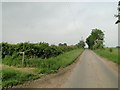 TM2691 : Footpath near Longwood Farm by Adrian S Pye