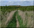 Footpath to Loughborough