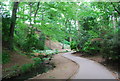 Peasholm Glen. Peasholm Park