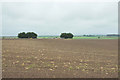 Looking across a ploughed field to Pooltown Farm