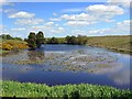 NZ0490 : Rothley Lakes by Andrew Curtis