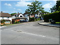 Looking from Red Cedars Road into Dale Wood Road