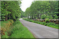 Road near Arr Wood, south of Auldearn