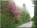 Driveway to Bemborough Farm