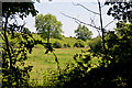 Farmland Beside Hook Lane