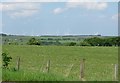 Grassland, Lewinside