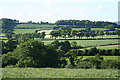 Halberton: towards Cloggs Hill