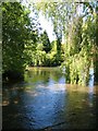 The Kennet at Ramsbury