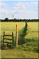 SK4829 : Path near the River Soar by David Lally
