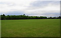 Broadhurst Playing Fields, Moston