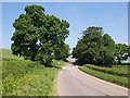 Willett Hill Cross