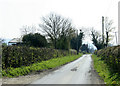 2010 : Rookery Lane looking south