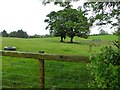 Tullycunny Townland