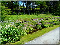 Garden at Gruinard House