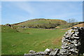 Looking towards the  mountain grazing