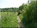 Footpath to the station, Morley