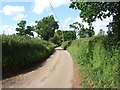 Gribble Lane, near Rockbeare