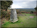 Older Hill Trig Point