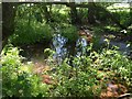 Pond near Aley