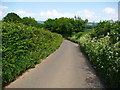 Malthouse Lane among the Hedges